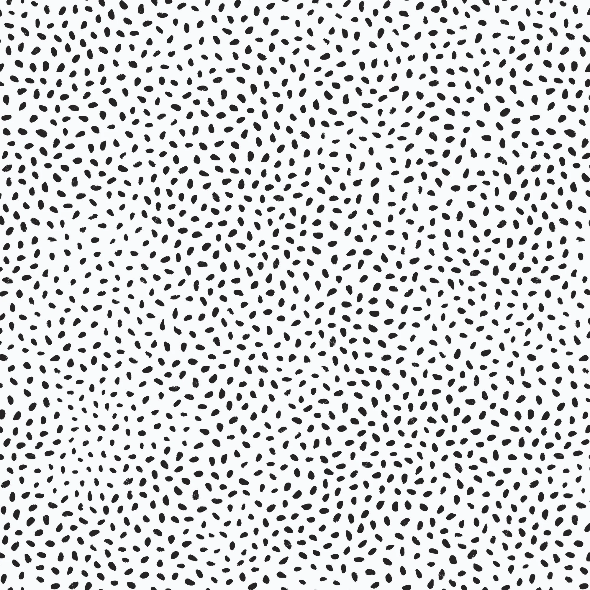 Little Bits - Marks Made - Leanne Friedberg - Cloud 9 Fabrics - Poplin - Image 3