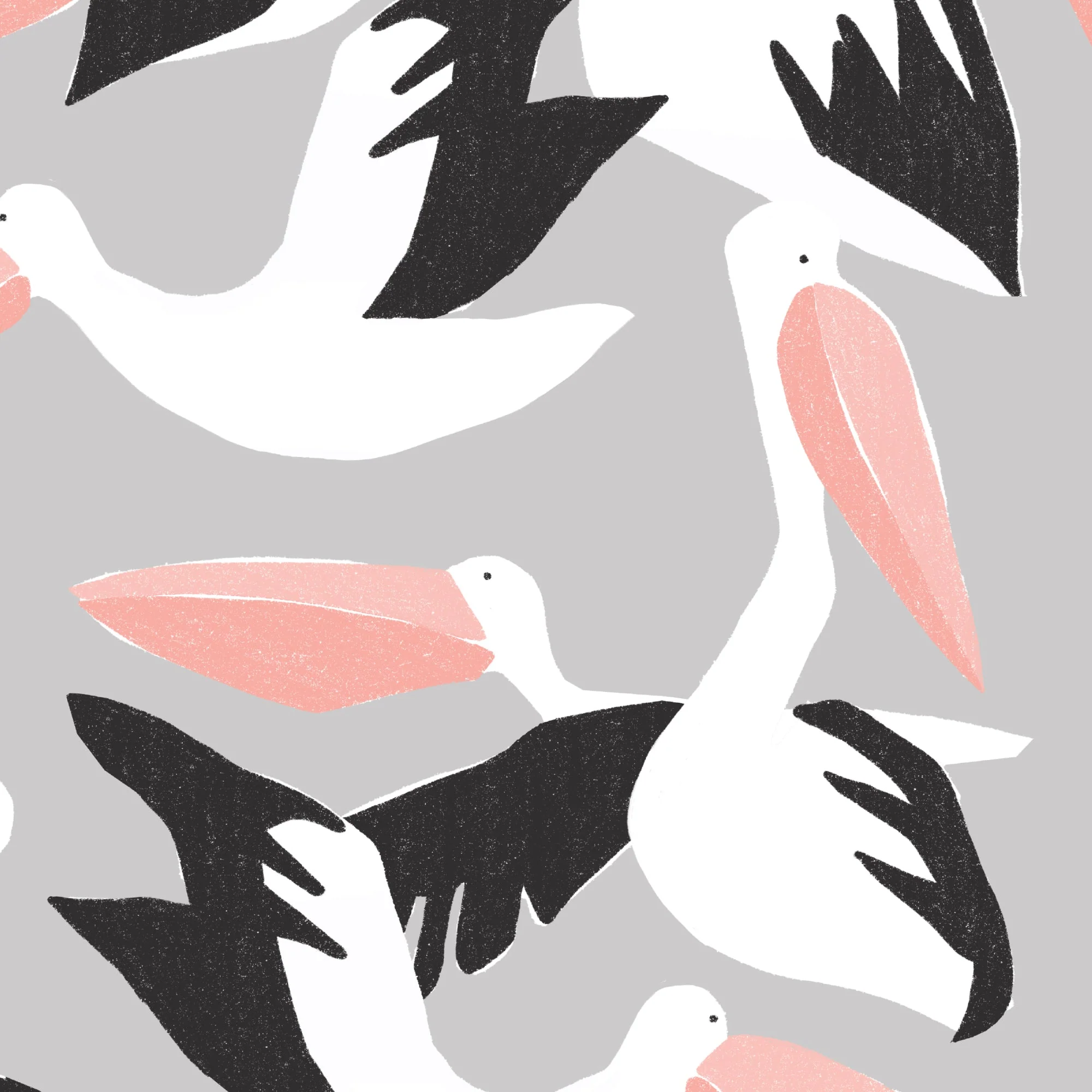 Pelicans - Ophelia Pang - Canvas Collective - Cloud 9 Fabrics - Canvas - Image 3