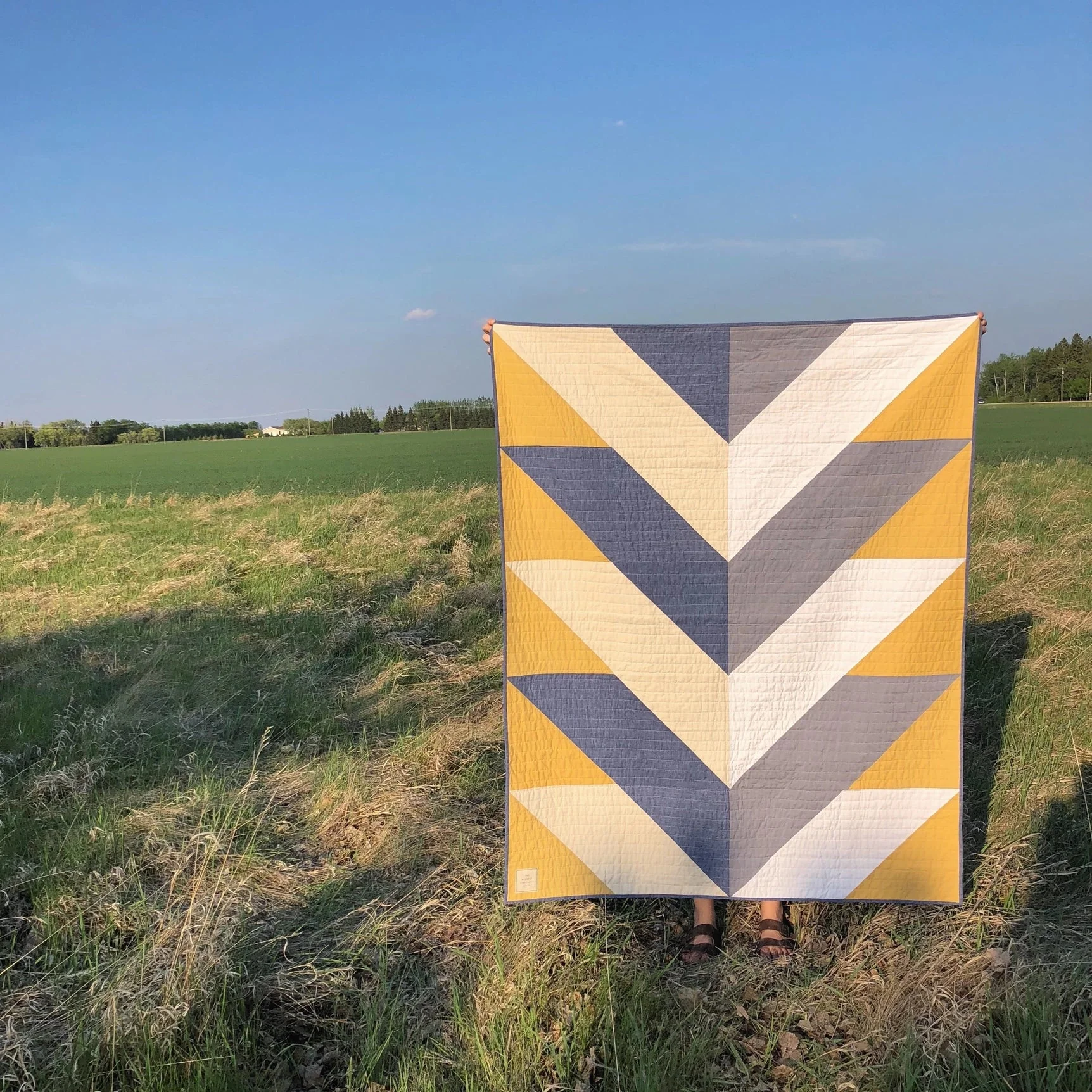 Pine Falls Paper Pattern - The Blanket Statement Quilt Co. - Image 5
