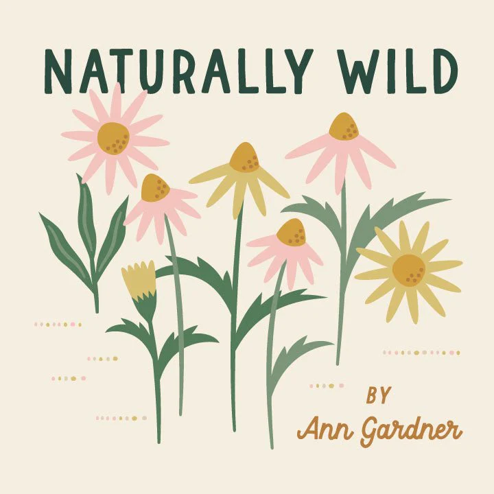 Polinators - Naturally Wild - Ann Gardner - Cloud 9 Fabrics - Poplin - Image 2