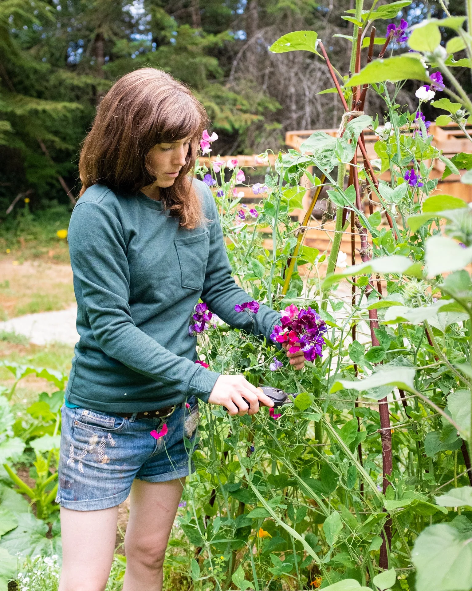 Woodley Tee Womens PDF Sewing Pattern - Thread Theory - Image 10